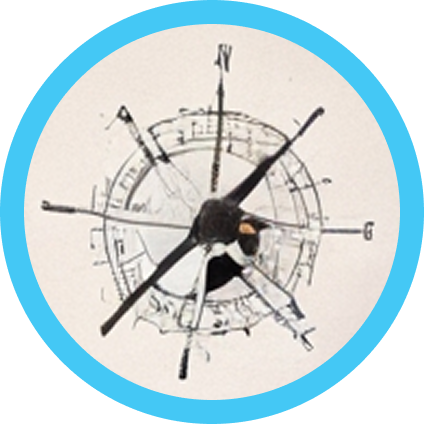 compass